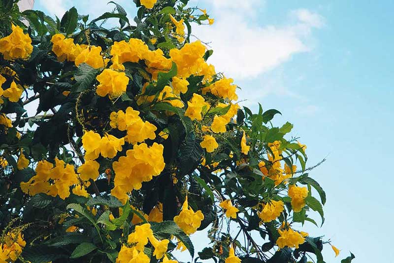 August ends and what it has for me