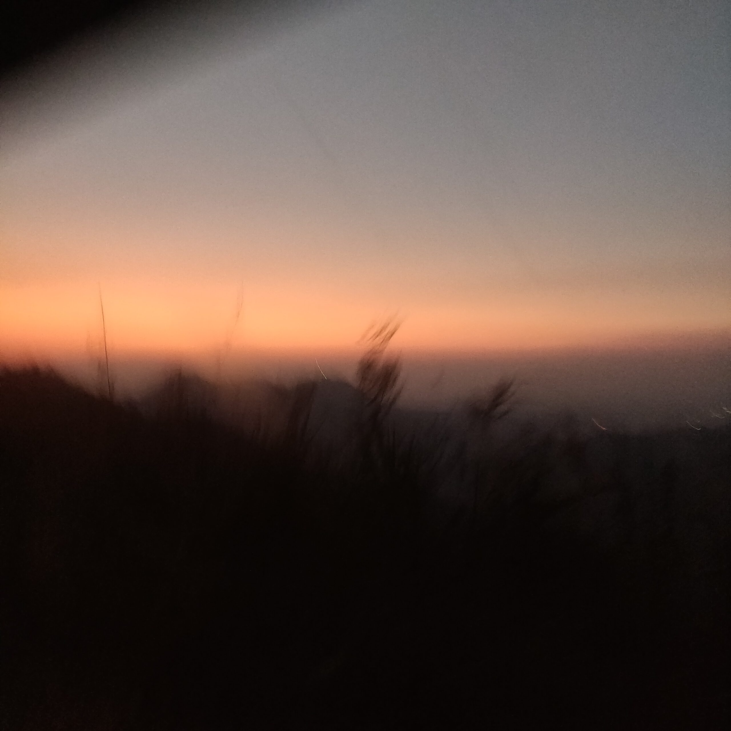 Mountains, sunset, flowers and what more