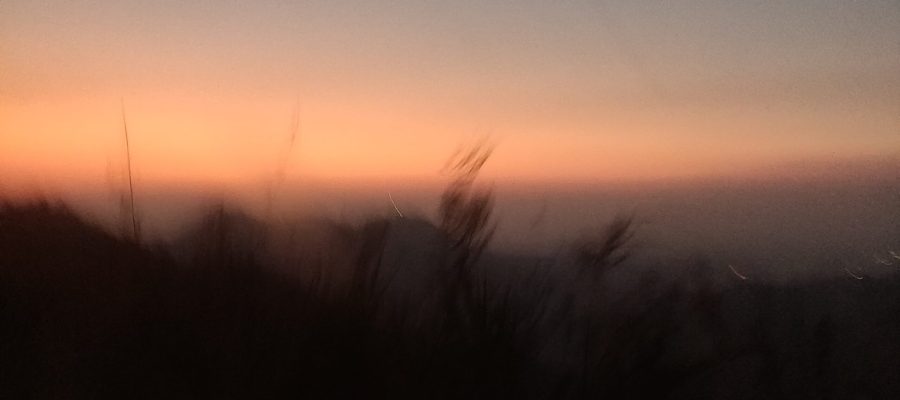 Mountains, sunset, flowers and what more