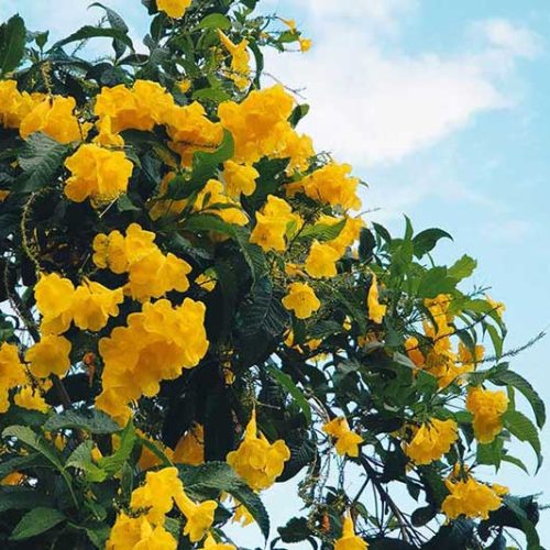 August ends and what it has for me