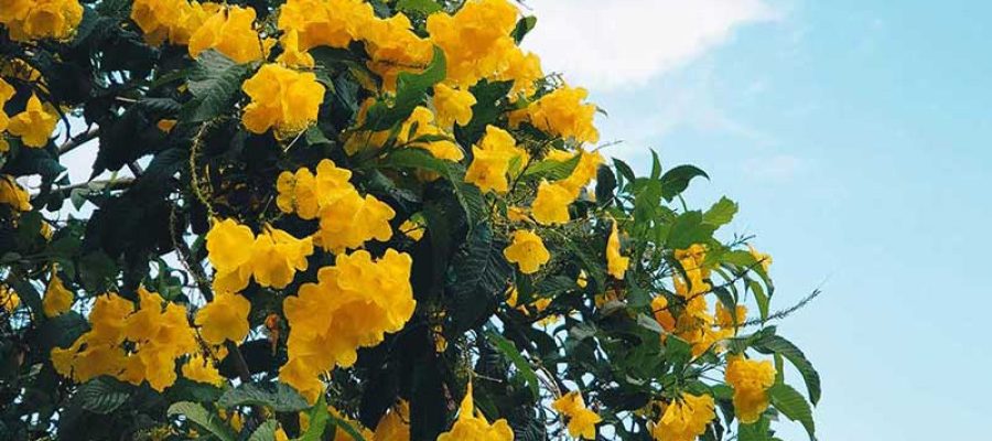 August ends and what it has for me